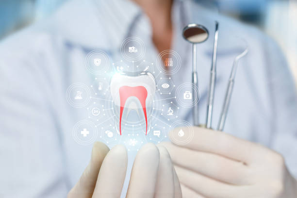  Warrenton, MO Dental Services Pros